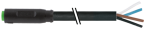 Konektor M8 żeński snap-in prosty z wolnym końcem przewodów 